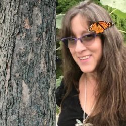 NDE's, STE's, UFO's & ET's - An Unfolding of Consciousness